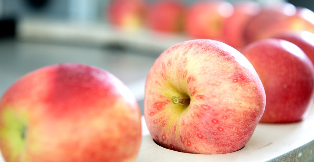 La ricerca come motore dell’innovazione.