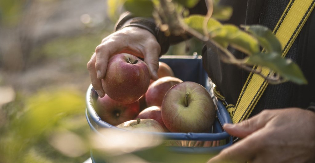 Unsere Vision: Stärkung durch Zusammenarbeit.